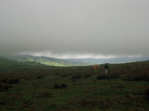 ImageImage0036.web.jpg