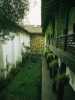 [thumbnail of Picture 2]