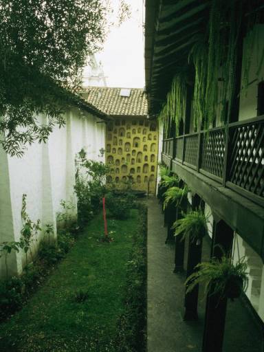 ImageImage0039.web.jpg