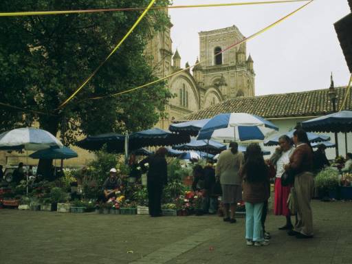 ImageImage0040.web.jpg