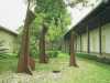 [thumbnail of Picture 6]