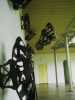 [thumbnail of Picture 14]