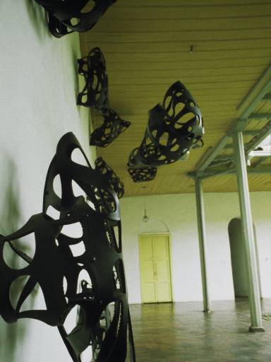 ImageImage0051.web.jpg