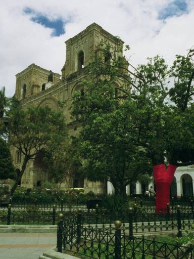 ImageImage0060.web.jpg