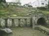 [thumbnail of Picture 31]