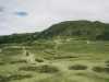 [thumbnail of Picture 34]