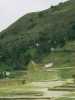 [thumbnail of Picture 35]