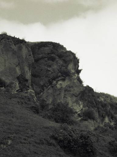 ImageImage0079.web.jpg