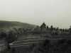 [thumbnail of Picture 12]