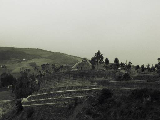 ImageImage0085.web.jpg