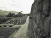[thumbnail of Picture 29]
