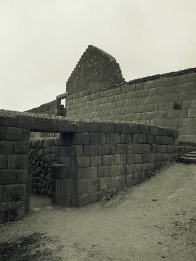 ImageImage0105.web.jpg