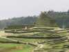 [thumbnail of Picture 4]