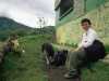 [thumbnail of Picture 15]