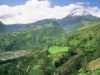 [thumbnail of Picture 19]