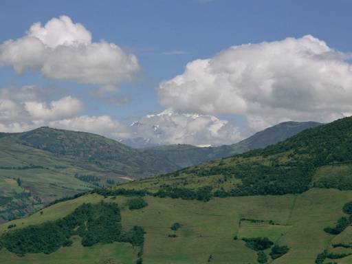ImageImage0023.web.jpg
