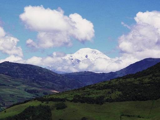 ImageImage0026.web.jpg