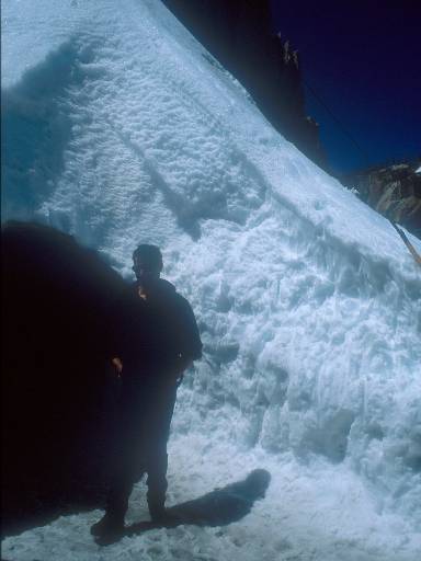 [thumbnail of Picture 36]