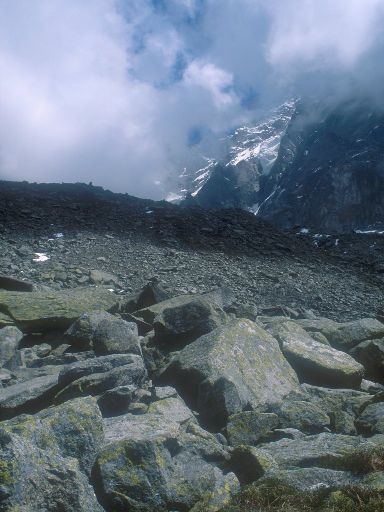 ImageImage0077.web.jpg