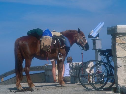 ImageImage0119.web.jpg