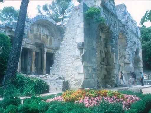 ImageImage0168.web.jpg
