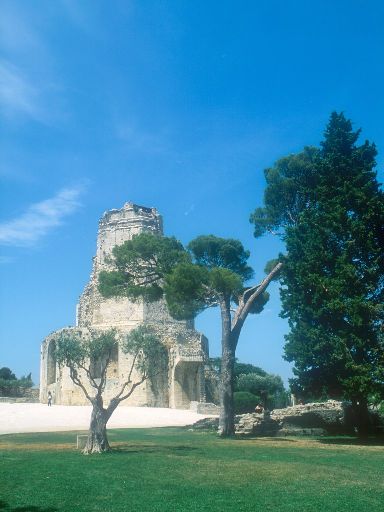ImageImage0169.web.jpg