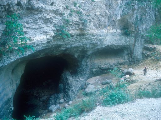 ImageImage0186.web.jpg