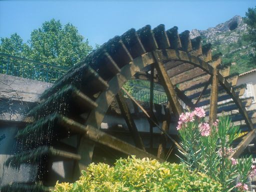 ImageImage0190.web.jpg