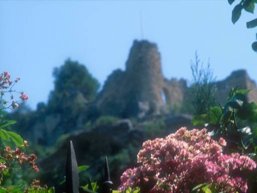 [thumbnail of Picture 7]