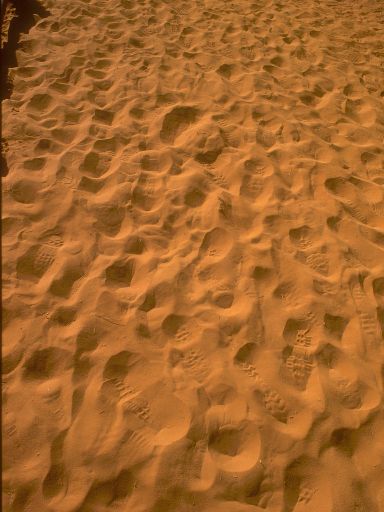 ImageImage0208.web.jpg