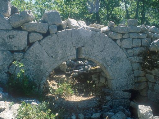 ImageImage0213.web.jpg