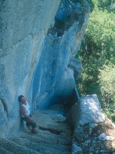 ImageImage0214.web.jpg