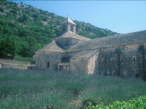 ImageImage0216.web.jpg