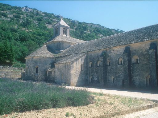 ImageImage0217.web.jpg