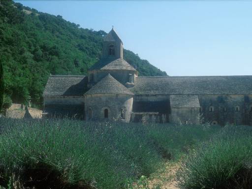 [thumbnail of Picture 3]