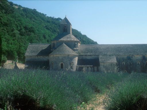 ImageImage0225.web.jpg