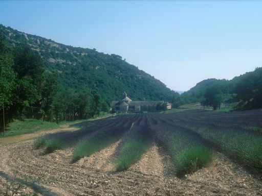 ImageImage0226.web.jpg