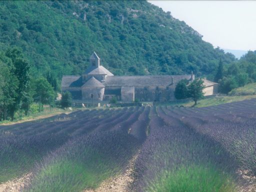ImageImage0227.web.jpg