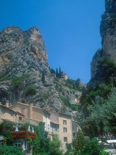 ImageImage0243.web.jpg