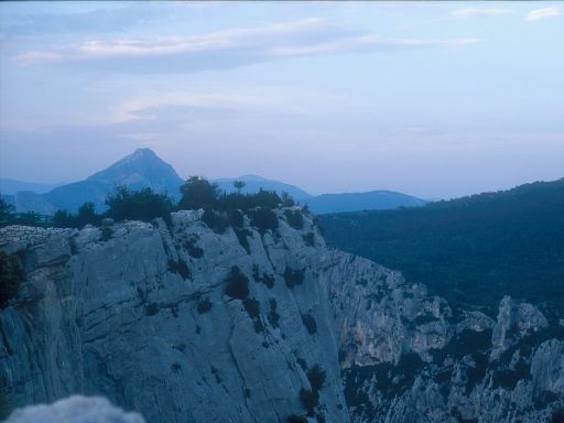 ImageImage0254.web.jpg