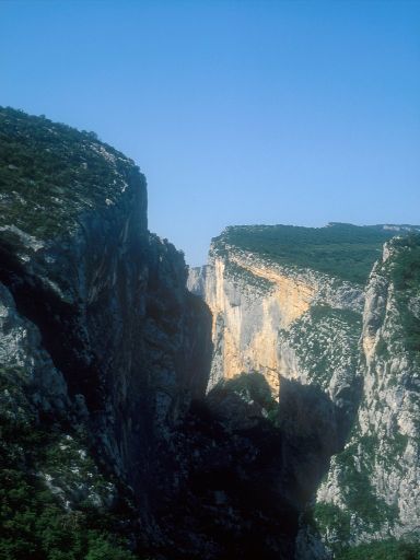 ImageImage0256.web.jpg