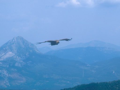 ImageImage0260.web.jpg