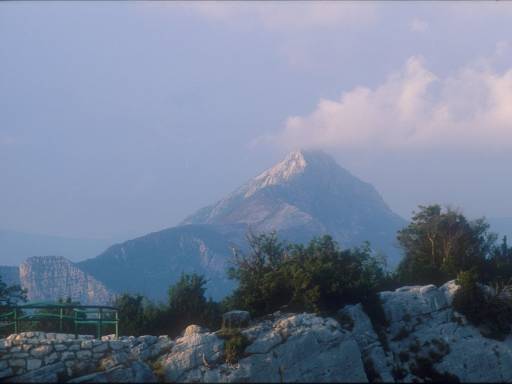 [thumbnail of Picture 3]