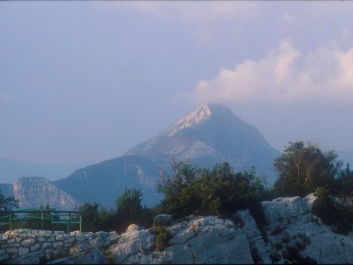 ImageImage0264.web.jpg