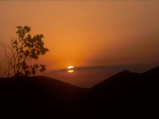 [thumbnail of Picture 5]