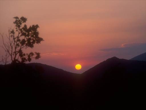 [thumbnail of Picture 6]