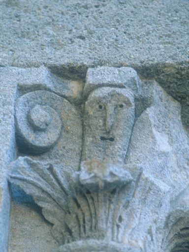 ImageImage0271.web.jpg