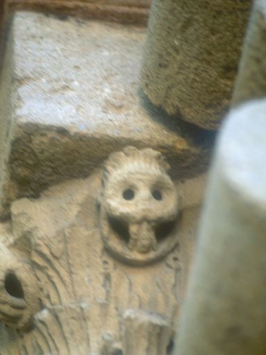 ImageImage0273.web.jpg