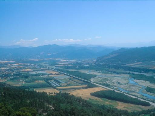 [thumbnail of Picture 14]