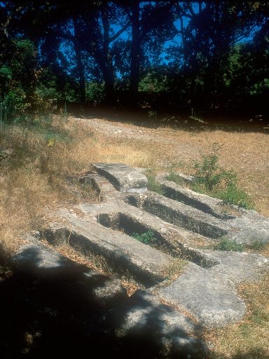 ImageImage0276.web.jpg